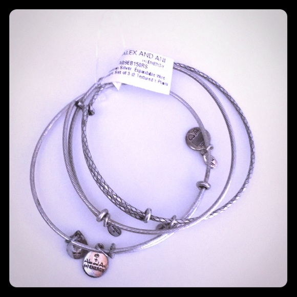 Alex and Ani Jewelry - ALEX AND ANI - adjustable charm bracelets